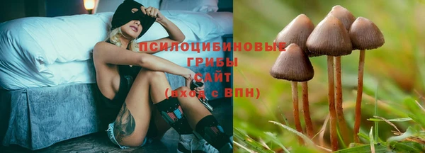 марихуана Каменногорск