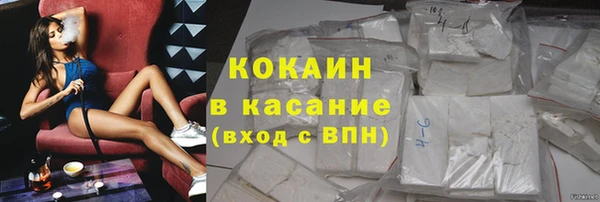 индика Шадринск