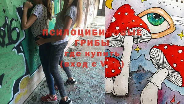 винт Каменск-Шахтинский