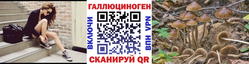 Псилоцибиновые грибы Cubensis  как найти закладки  Южно-Сухокумск 