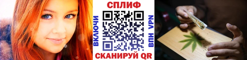 Каннабис OG Kush  Южно-Сухокумск 